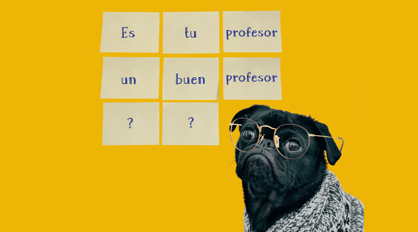 ¿Estás seguro de que tu profesor de español es un buen profesor?